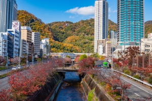 松江市東奥谷町の土地情報と暮らし