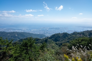 雲南市加茂町大西の土地の最新販売情報と生活情報