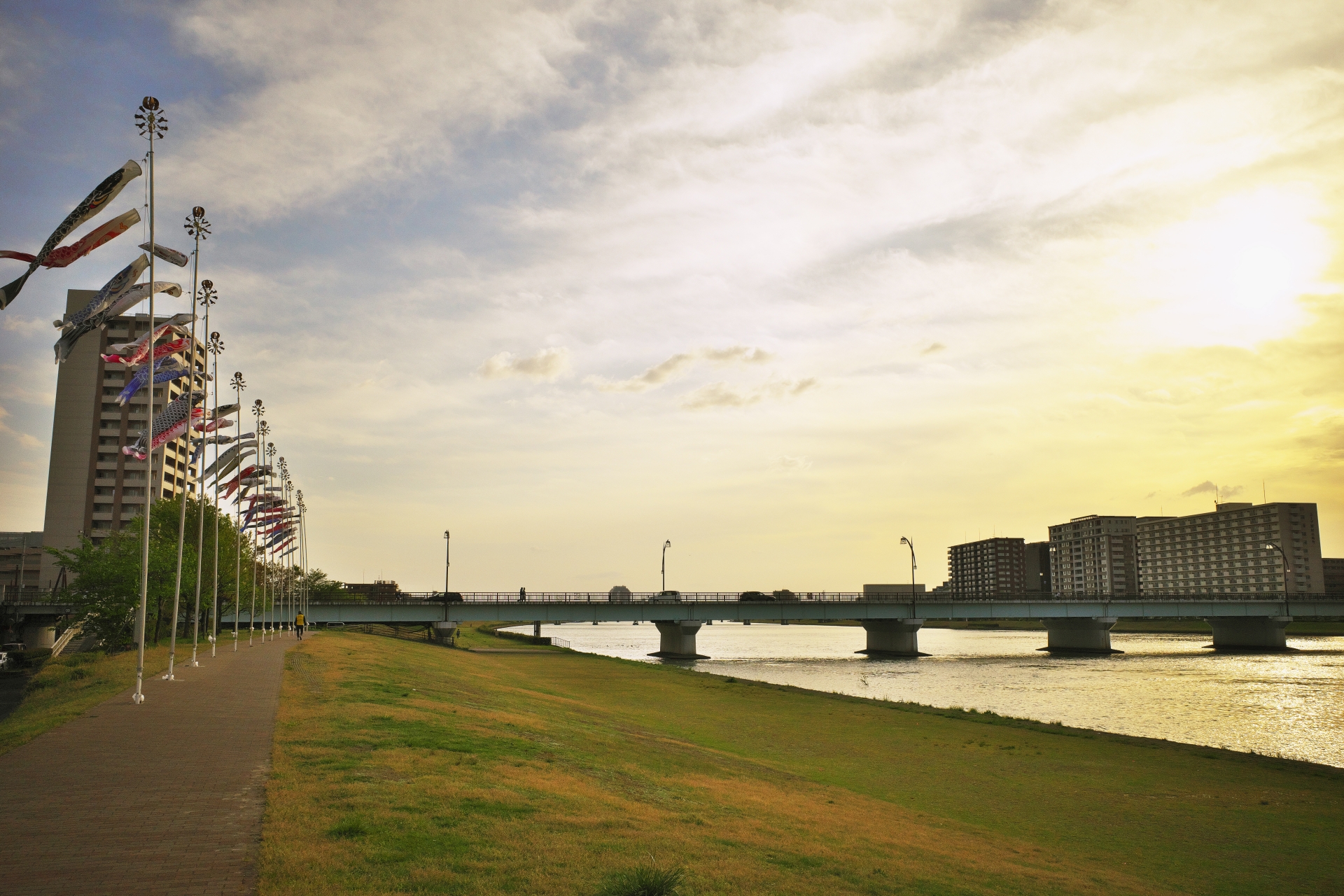 西伯郡伯耆町大内のメイン画像