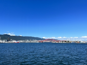 松江市比津が丘一丁目の土地と生活お役立ち情報