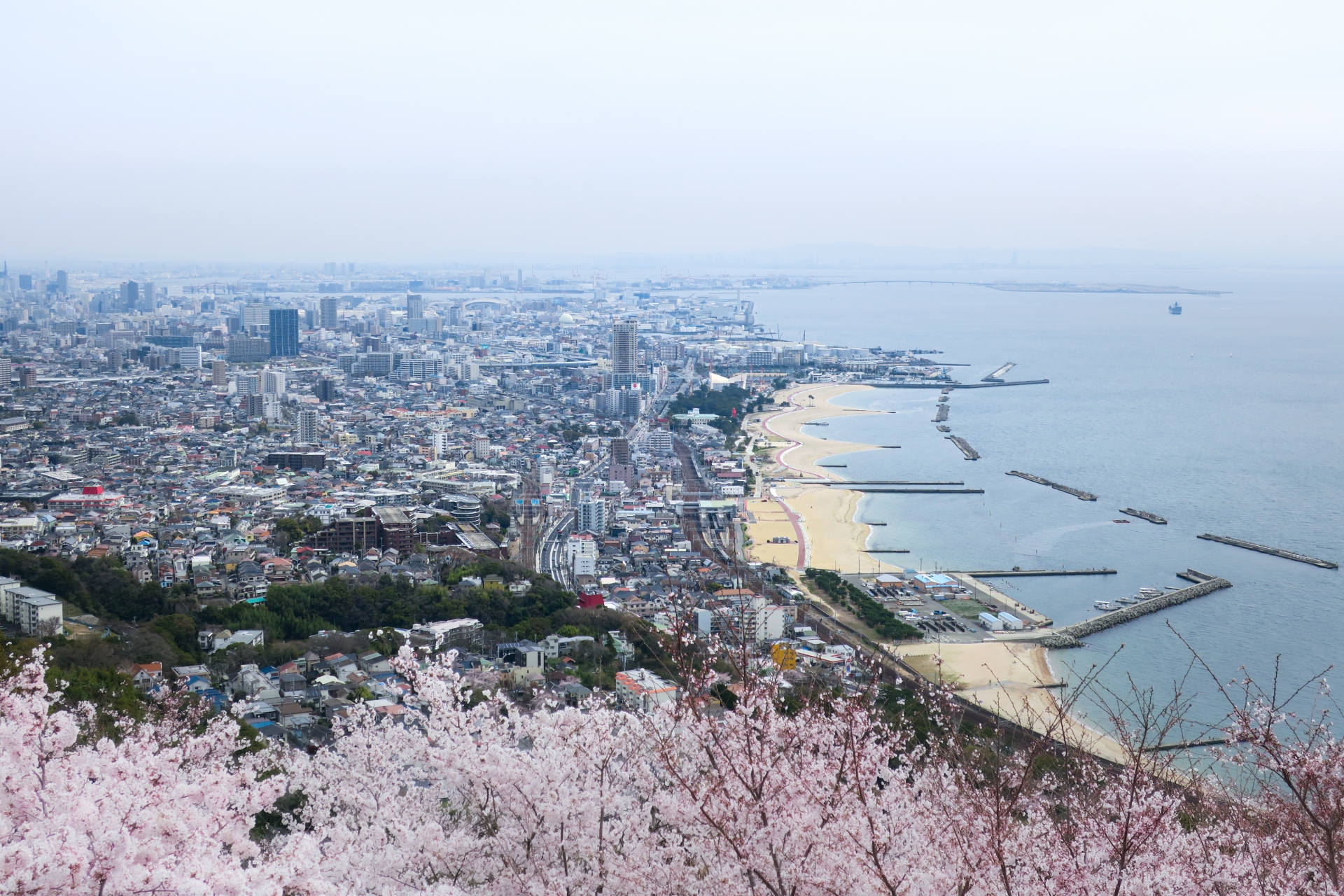 出雲市白枝町のメイン画像