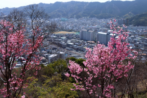 津山市戸脇の土地と街のご紹介